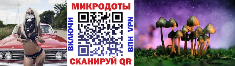закладки  Кадников  Псилоцибиновые грибы ЛСД 